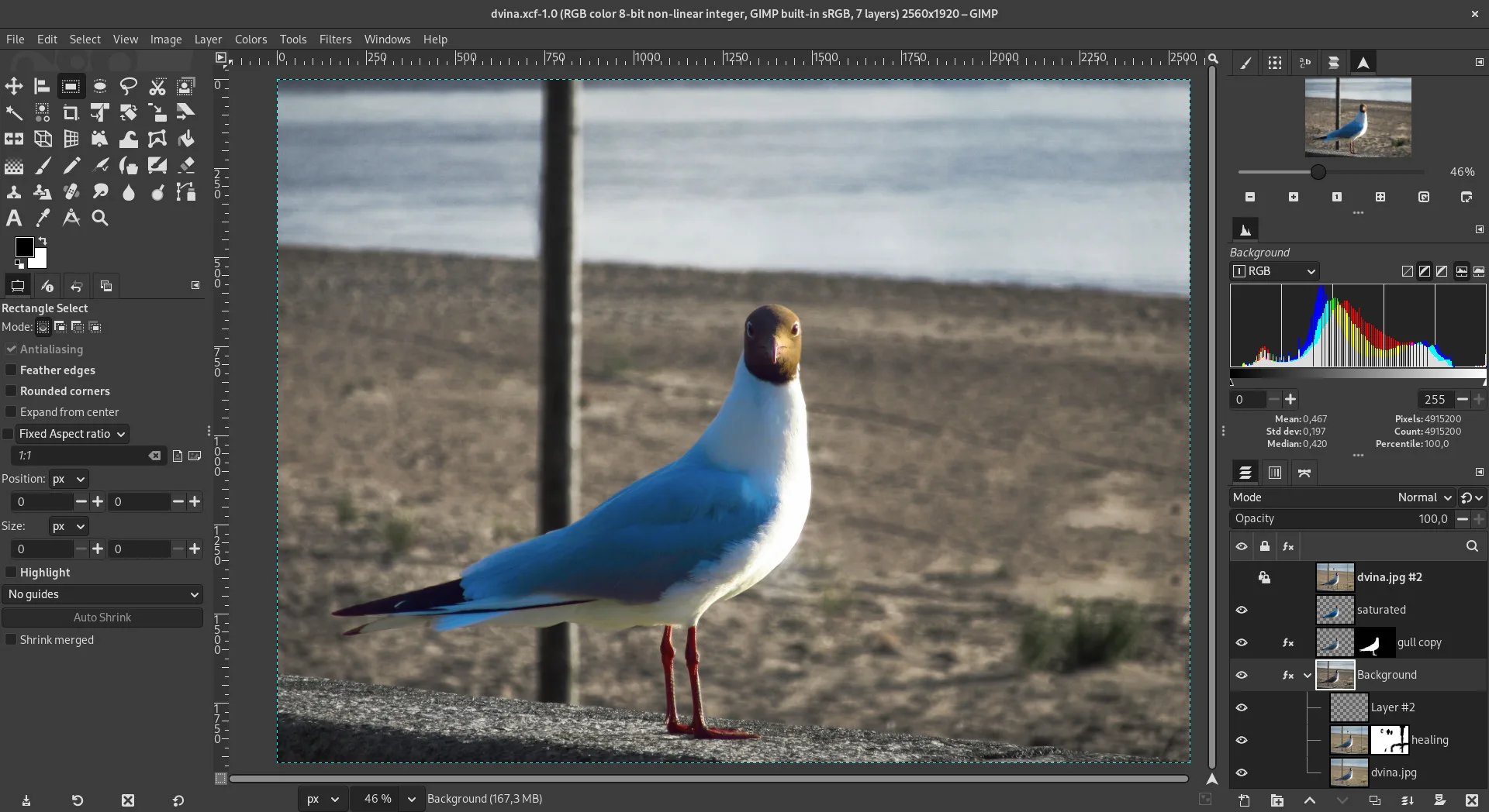 GIMP photo editor main window with toolbox, canvas, and layers dock visible while editing a photo.